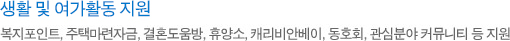 생활 및 여가활동 지원 - 복지포인트, 주택마련자금, 통근버스, 결혼도움방, 휴양소, 캐리비안베이, 동호회, 관심분야 커뮤니티 등 지원